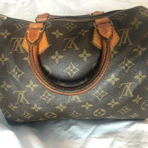 Louis Vuitton Speedy 25 Handbag